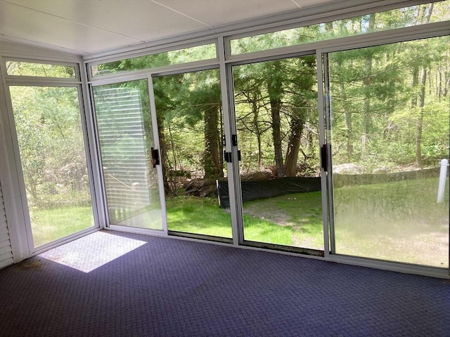 68 Briarbrook Dr, Seekonk, MA 02771 - unfurnished sunroom with carpet