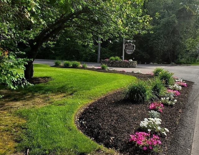 728 Auburn St Unit F8, Whitman, MA 02382 - view of grassy yard