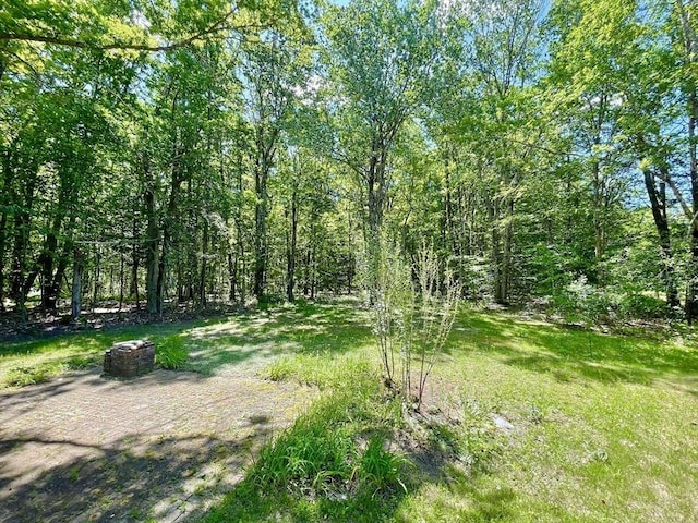 2 Bushy Ln, Rutland, MA 01543 - view of yard