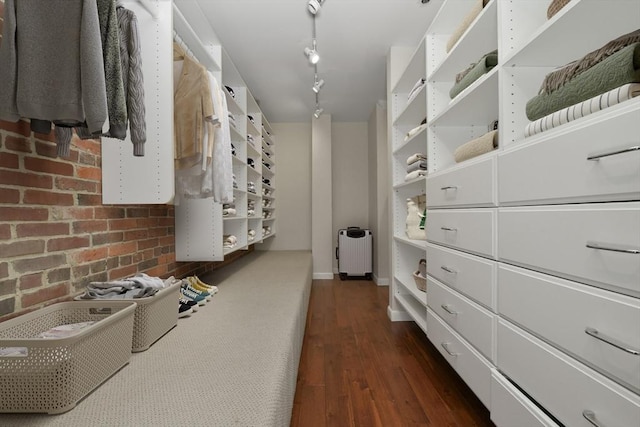 spacious closet featuring dark wood-type flooring