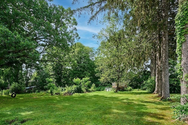 115 S Shelburne Rd, Greenfield, MA 01301 - view of green lawn