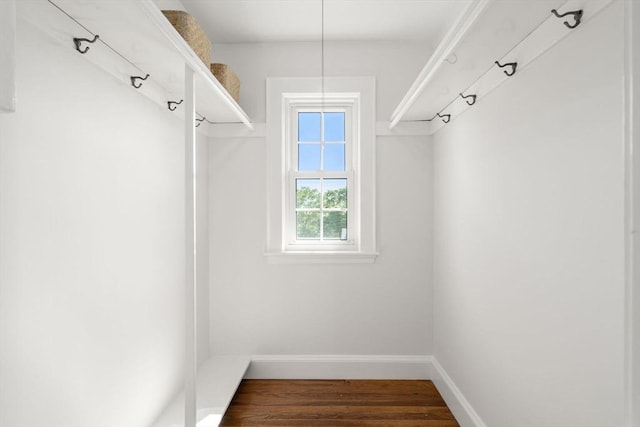 spacious closet featuring wood finished floors