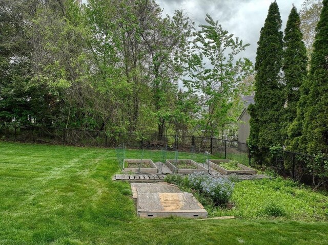 view of yard with a vegetable garden