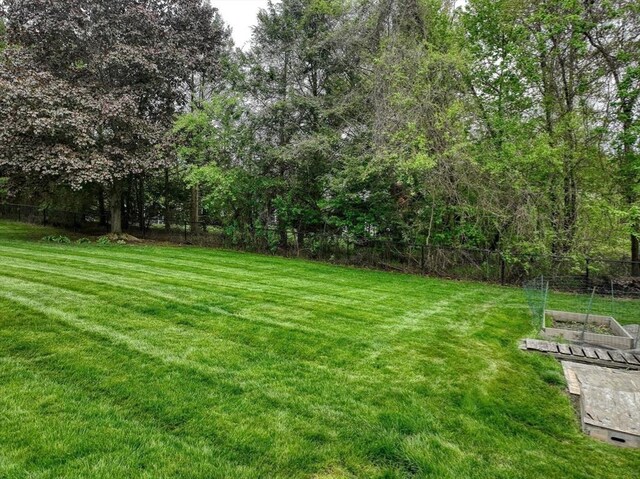 view of yard featuring a vegetable garden