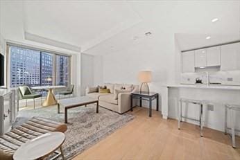 living room with radiator heating unit and light hardwood / wood-style floors