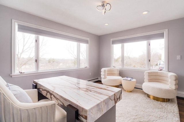 bedroom featuring a baseboard heating unit, dark hardwood / wood-style floors, and multiple windows