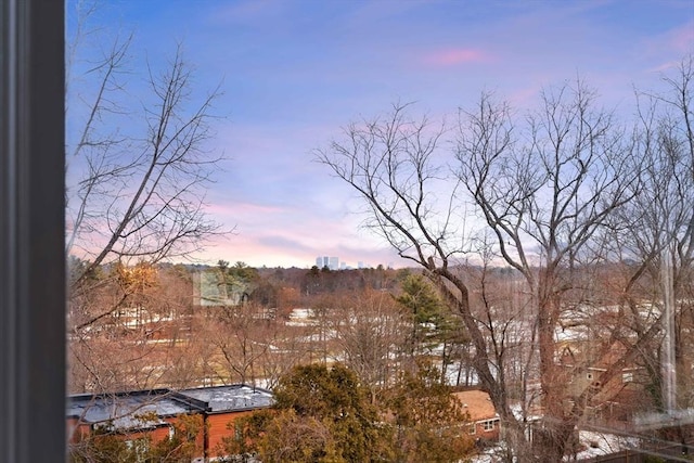 view of nature at dusk