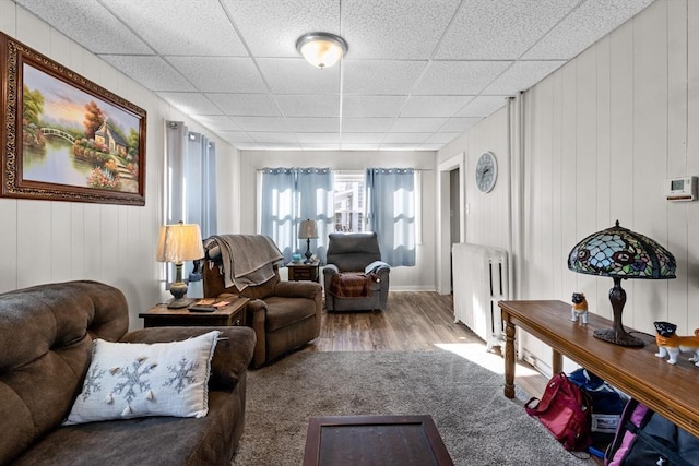 living area featuring a paneled ceiling, radiator heating unit, and wood finished floors