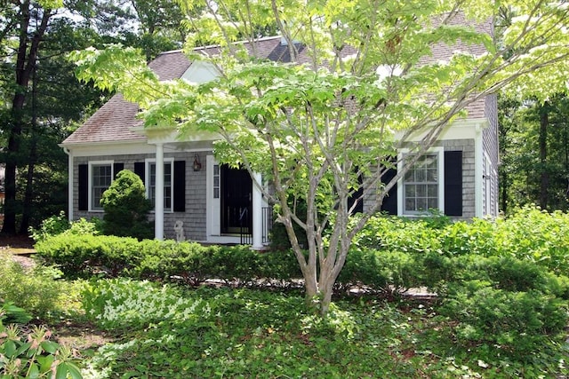 18 Periwinkle Ln, Mashpee, MA 02649 - view of front of house with a shingled roof