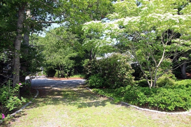18 Periwinkle Ln, Mashpee, MA 02649 - view of yard