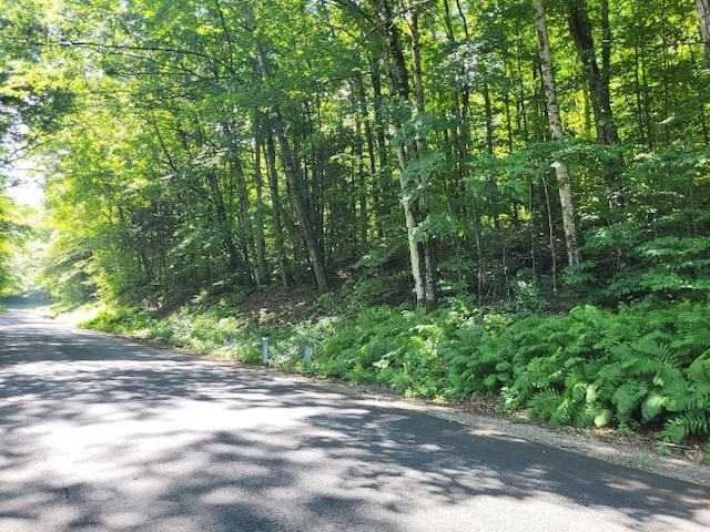 0 W Cummington Rd, Cummington MA, 01026 land for sale