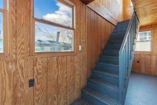 stairway with carpet floors and wood walls