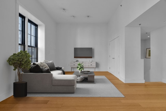 living room with light wood-type flooring