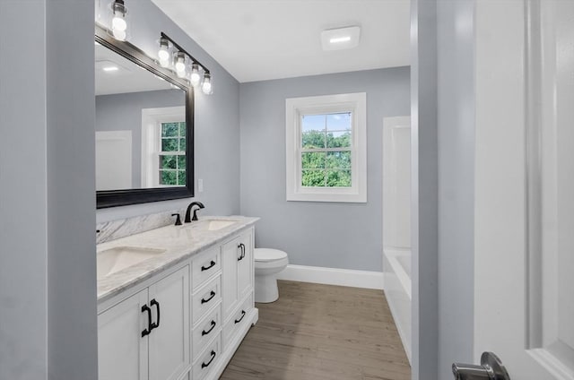 bathroom with vanity, wood-type flooring, and toilet