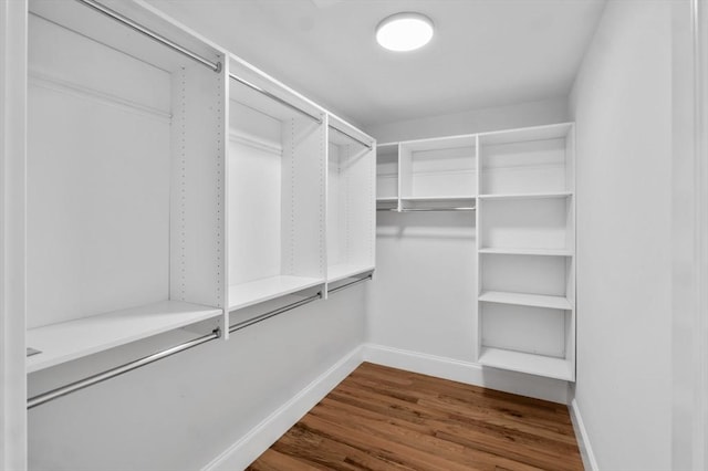 spacious closet with wood-type flooring