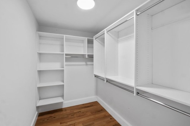 walk in closet with wood-type flooring