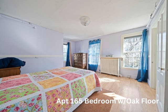 bedroom with radiator heating unit and hardwood / wood-style flooring