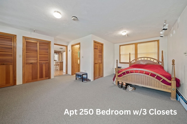 bedroom with carpet flooring and multiple closets