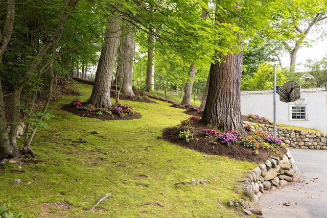 5 Southwick, Newton, MA 02468 - view of yard