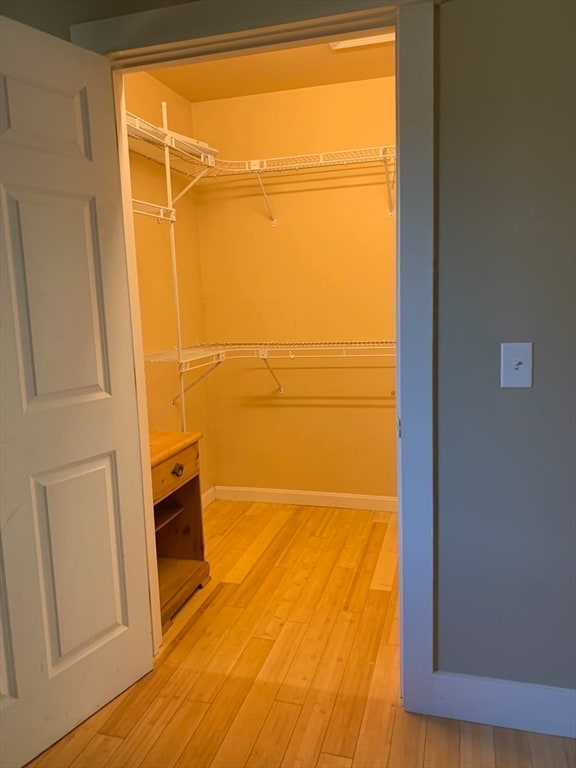 walk in closet with wood-type flooring