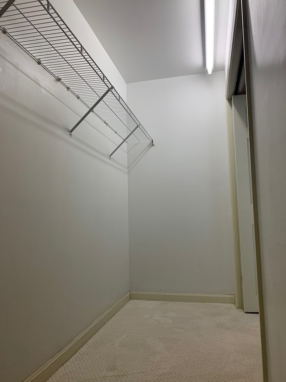 walk in closet with carpet