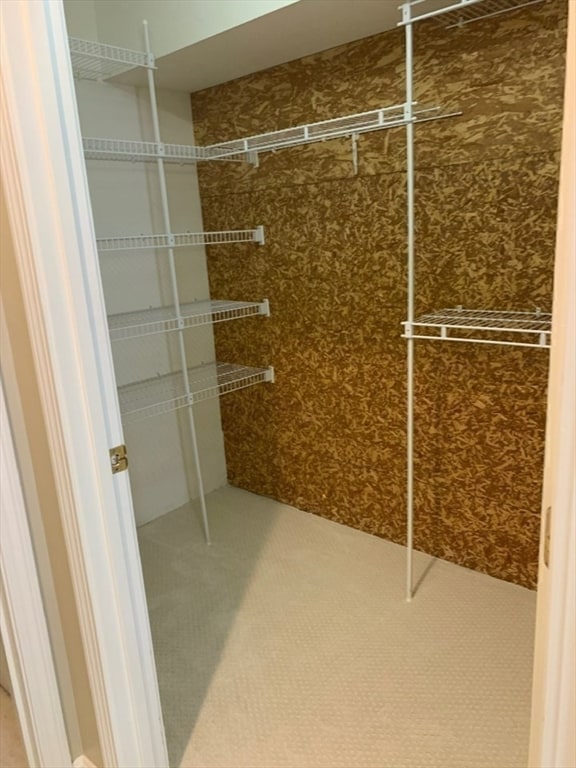 spacious closet featuring carpet flooring