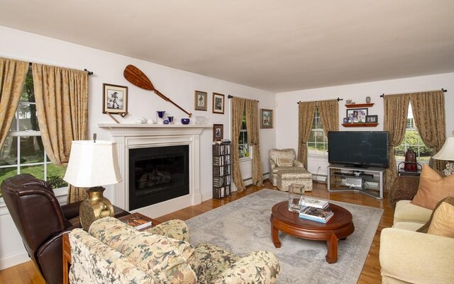 2181 Service Rd, Barnstable, MA 02668 - living area featuring a baseboard radiator, a glass covered fireplace, and wood finished floors