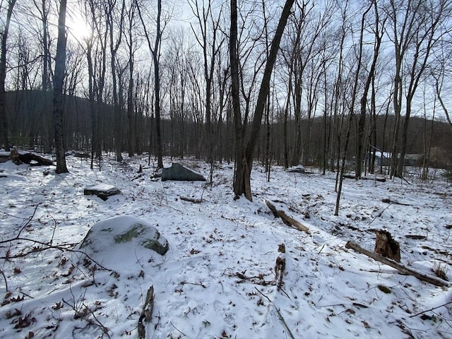 LOT2R Chapin Rd, Hampden, MA 01036