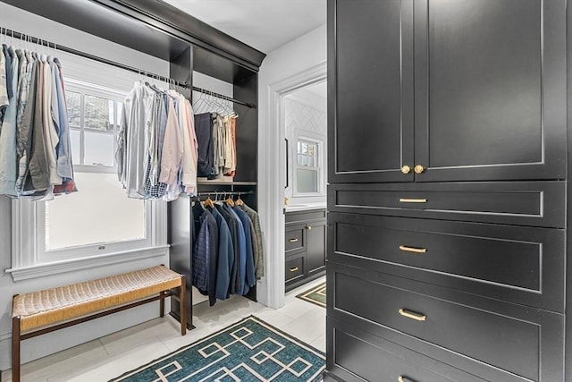 view of spacious closet