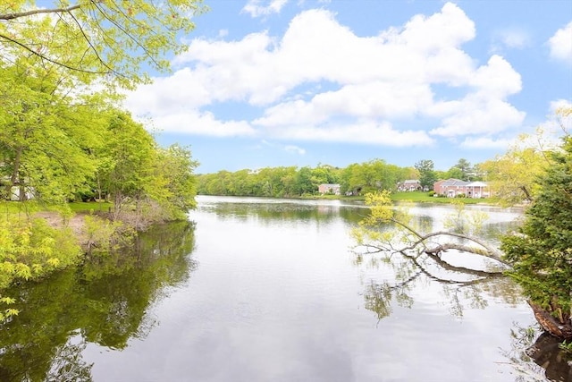 666 Main St Unit 206, Winchester, MA 01890 - water view