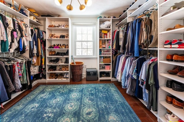 walk in closet with dark wood-style floors