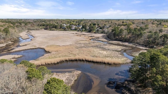 aerial view of a nearby body of water and a forest