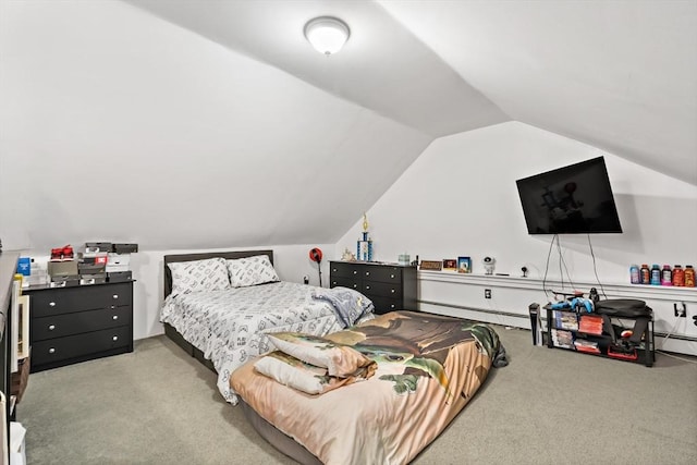 1185 Read St, Somerset, MA 02726 - bedroom with carpet flooring, lofted ceiling, and a baseboard heating unit