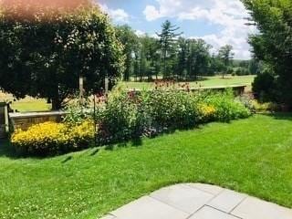 surrounding community with a lawn