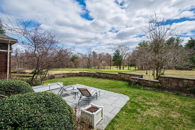 view of yard featuring a patio area