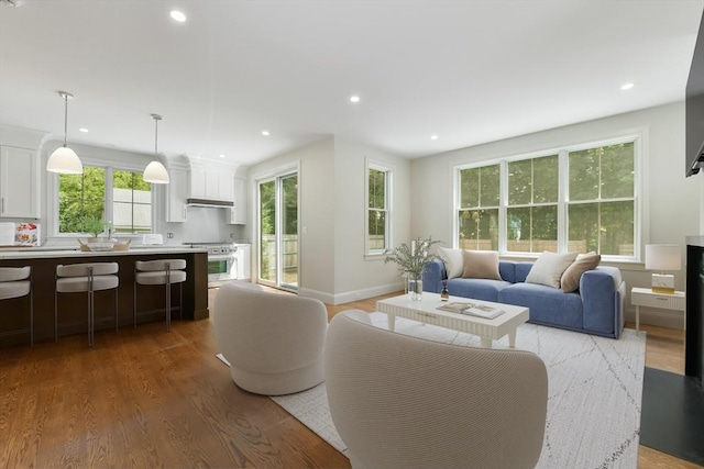 132 Hillside Ave Unit 132, Needham, MA 02494 - living area featuring light wood finished floors and recessed lighting