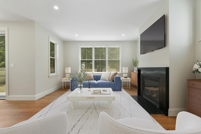 132 Hillside Ave Unit 132, Needham, MA 02494 - living room featuring wood finished floors, a fireplace with flush hearth, and recessed lighting