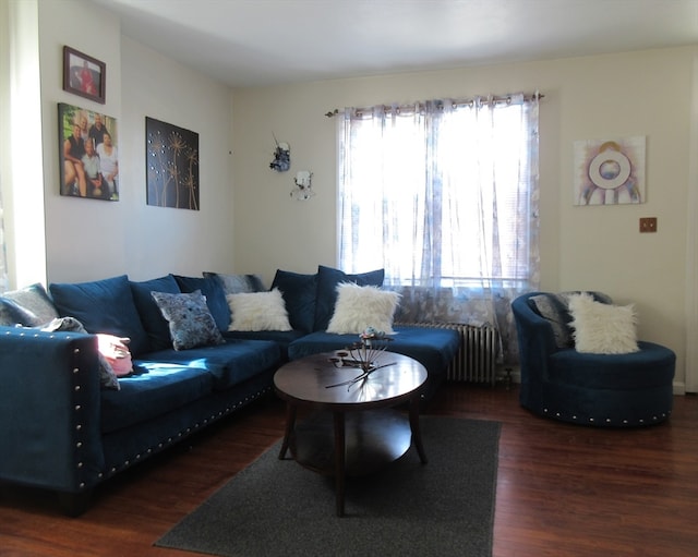 living room featuring dark wood-type flooring and radiator