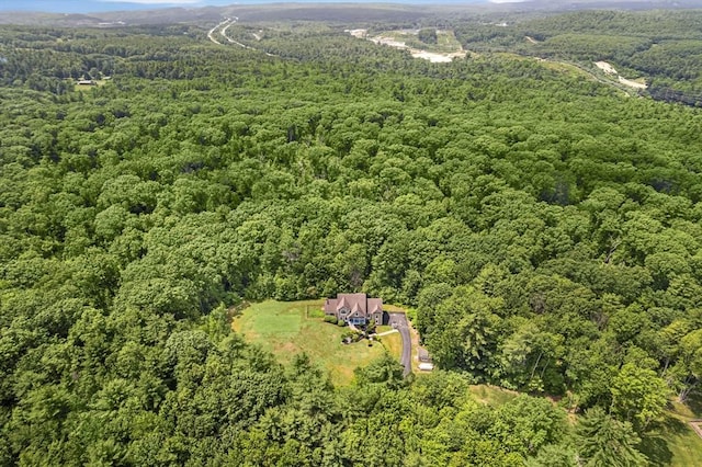455 Brockelman Rd, Lancaster, MA 01523 - aerial overview of property's location with a heavily wooded area