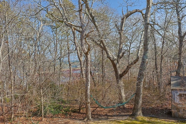 view of landscape featuring a view of trees