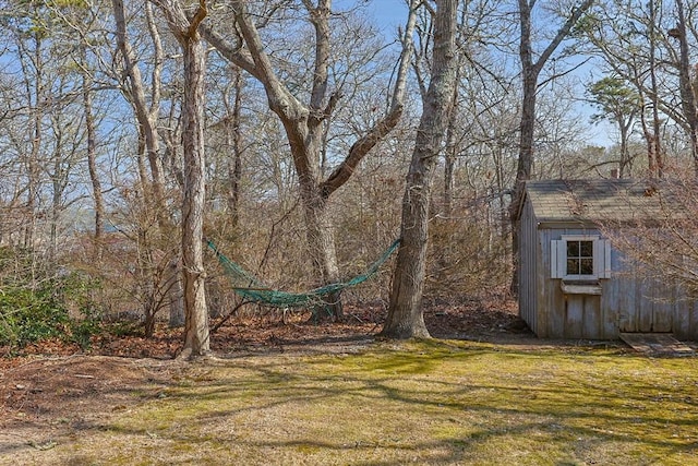 view of yard featuring an outbuilding and a storage unit