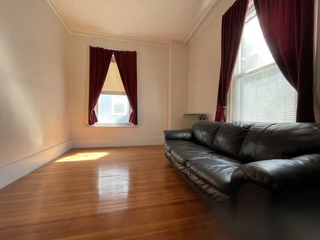 living room featuring crown molding and light hardwood / wood-style floors