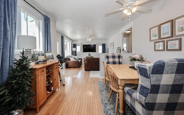 dining space featuring plenty of natural light, ceiling fan, and light wood-type flooring