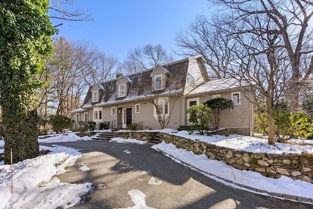 view of cape cod house