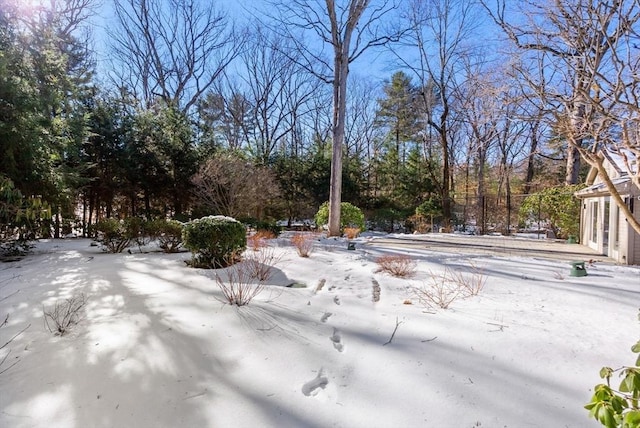 view of yard covered in snow