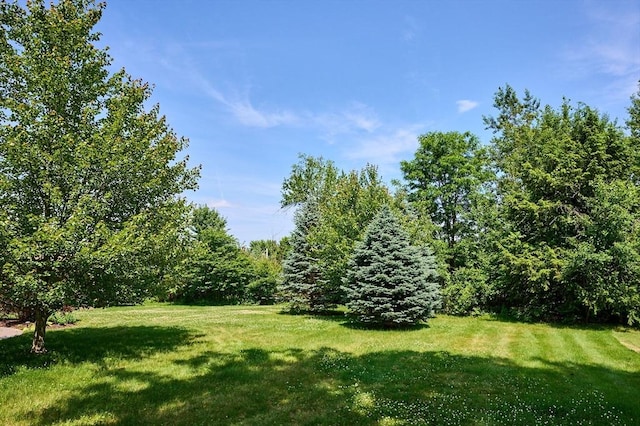 985 Tinkham Rd, Wilbraham, MA 01095 - view of green lawn