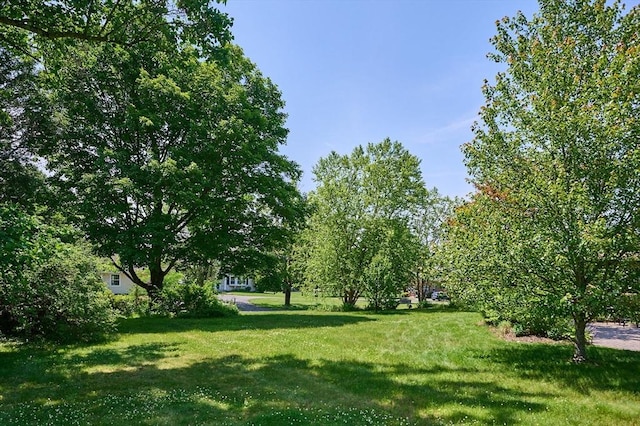 985 Tinkham Rd, Wilbraham, MA 01095 - view of grassy yard