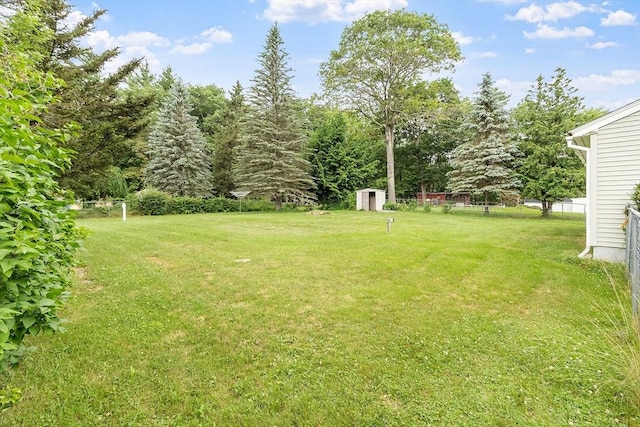 336 Otter River Rd, Templeton, MA 01468 - view of yard featuring a storage unit
