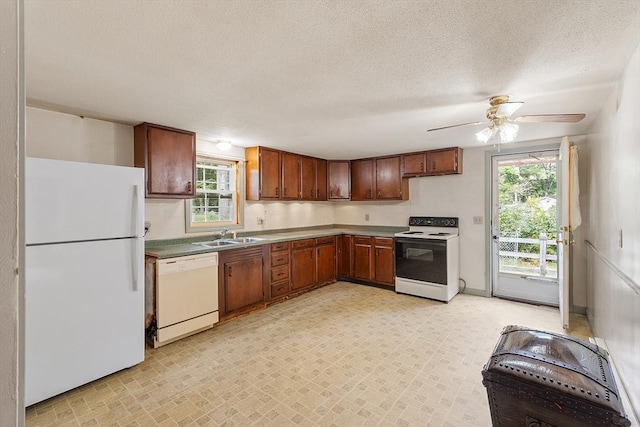 336 Otter River Rd, Templeton, MA 01468 - kitchen with white appliances, healthy amount of natural light, a ceiling fan, and a textured ceiling