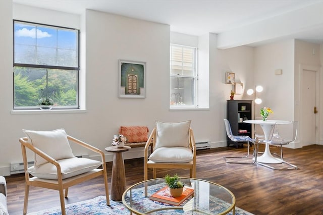 35 Nonantum St Unit E, Boston, MA 02135 - living area featuring baseboard heating, healthy amount of natural light, and wood finished floors